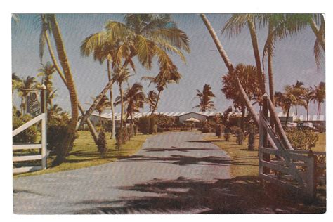 Fl Fort Lauderdale Sea Ranch Hotel Entrance Vtg Postcard