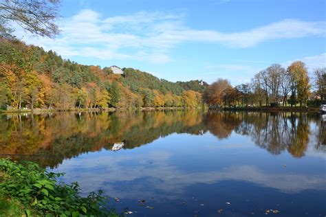 mirror lake  forest spa belgium autumn  spa  planet european travel science