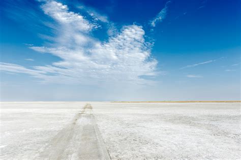 largest salt pan  makgadikgadi pan african landscape photo