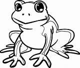 Frog Coloring Pages Wecoloringpage Animal sketch template