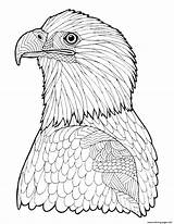 Coloring Pages Advanced Eagle Adult Printable Bald Hard Adults Zentangle Color Print Getcolorings Book Getdrawings sketch template