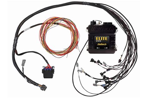 haltech elite   big blocksmall block gm ford chrysler terminated harness ecu kit