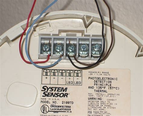 mini wiring diagram  pin connector wiring