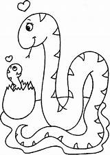 Coloring Mewarnai Ular Serpientes Tulamama Cobra Snakes Kai Dinosaur sketch template