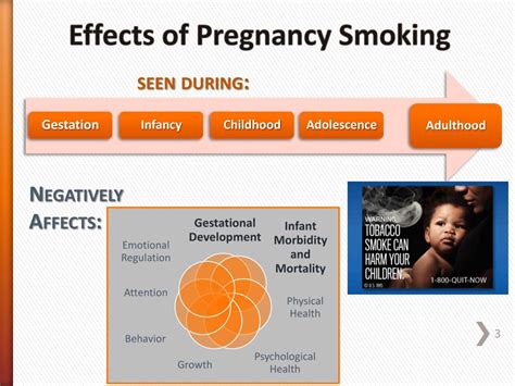 Ppt Tobacco Use In Pregnancy Effects And Intervention Powerpoint
