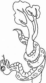 Serpente Vipera Coloring Serpent Ramo Serpe Serpenti Biscia 1745 Coloriages Biscione sketch template