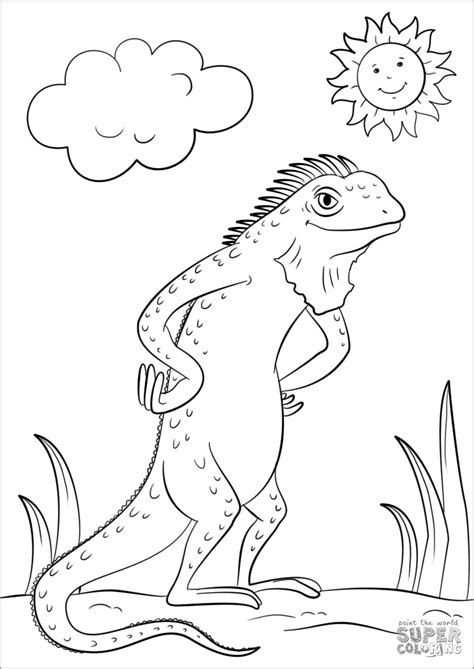 iguana coloring pages coloringbay