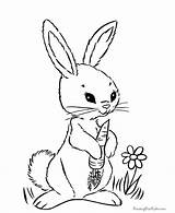 Bunny Coloring Printable Pages Popular sketch template
