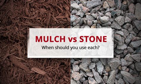 mulch  stone wilson blacktop