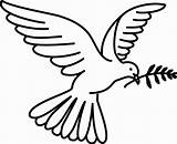 Dove Peace Clipart Clipartbest Coloring sketch template