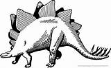 Stegosaurus Dinosaurier Drachen Ausmalbild Malvorlage Ausmalen Dinos Stegozaur Mewarnai Dinosaurus Druku Kolorowanki Dinosaurios Brontosaurus Pintar Esqueleto Dinozaury Kolorowanka Paleontology Archeology sketch template