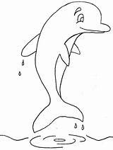Coloring Pages Ocean Animals Dolphin2 Dolphin Sheet Book Advertisement sketch template