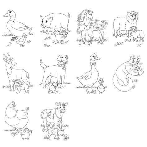 farm animal worksheets  activities buylapbook