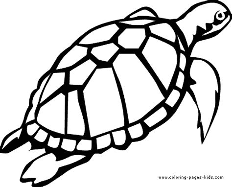 sea turtle color page
