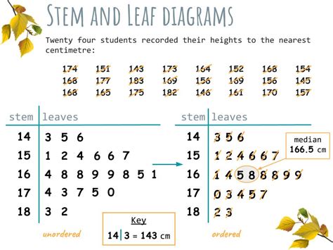 stem  leaf diagram worksheet corbettmaths kidsworksheetfun