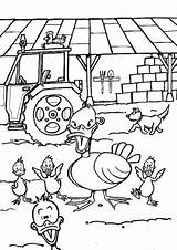 Coloring Ferme Ducks Pato Patos Granja Patinho Ausmalen Hellokids Folie Preschool Duckling Cour Basse Ente Tracteur Seu Animais Tulamama Mallard sketch template