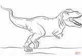 Rex Spinosaurus Dinosaurier sketch template
