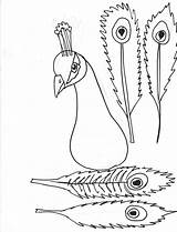 Peacock Coloring Pages Kids Printable Feather Template Print Choose Board Peacocks sketch template