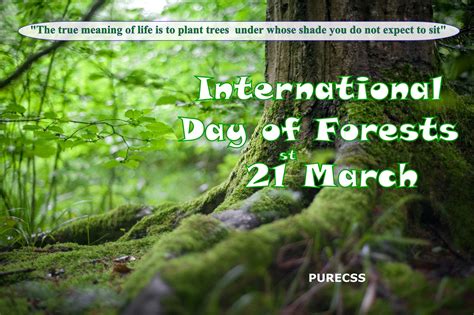 international day  forests  march
