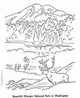 Disegni Fjords Montagna Colorare Sequoia Teton Designlooter Insect sketch template