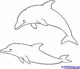 Delfin Delfine Dolphin Dolphins Ausmalbilder Malen Schablone Bildern Tiere Dolfijn Kinderbilder Dragoart Malvorlage Innen Leicht Dolfijnen Bottlenose Tekenen Fisch Delphin sketch template