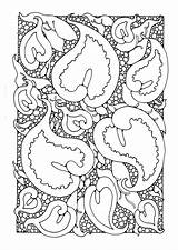 Araceae Aronskelk Malvorlage Arum Educolor Große Scarica sketch template
