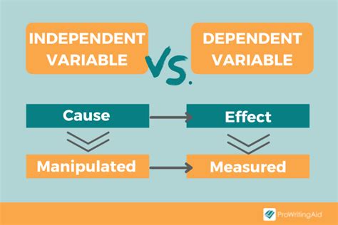 dependent variable definition  examples