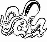 Octopus Coloring Library Clipart Pulpos Dibujos sketch template