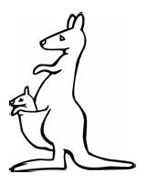Kangaroo Canguru Boyama Wallaroo Kanguru Sayfalari Kangoroo Ilosofia Sayfasi Hayvan sketch template