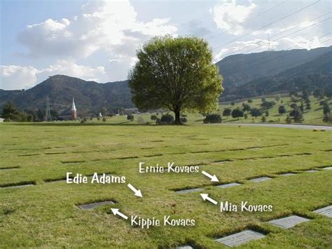 kippie kovacs   find  grave memorial