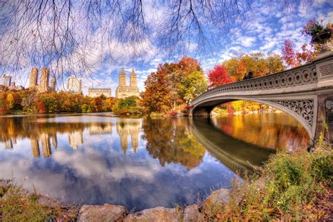 bow bridge reflection  york fall tree bridge pond man