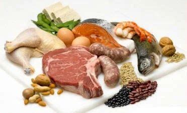 high protien diet programs   price  gurgaon id