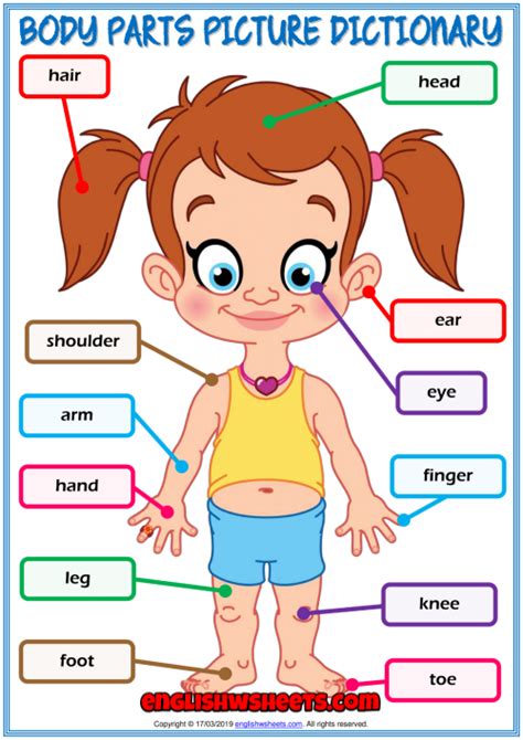body parts esl printable picture dictionary  kids