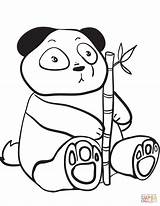 Panda Coloring Pages Cute Bamboo Holding Drawing Cartoon Branch Realistic Giant Printable Kawaii Adults Color Print Baby Getcolorings Bears Template sketch template