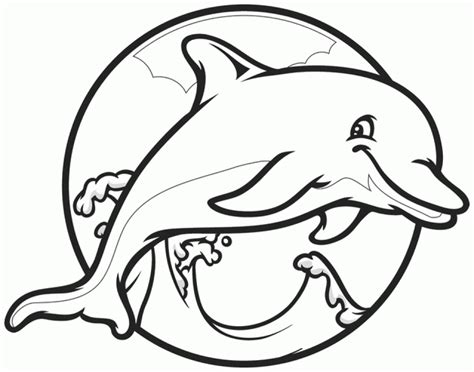 dolphin coloring pages  kids