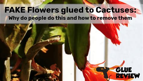people glue fake flowers  cactuses glue review
