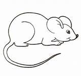Mouse Coloring Pages Color Clipart Mice Colouring Printable Cute House Paint Rato Para Kids Drawing Desenho Crafts Colorir Supercoloring Google sketch template