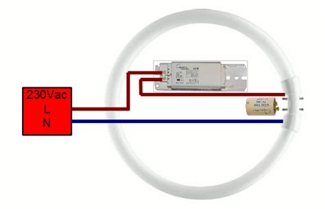 wiring  light fitting diagram