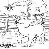 Web Coloring Pages Charlottes Charlotte Activities Book Printable Sheets Pig Some Kids Books Print Colouring Template sketch template