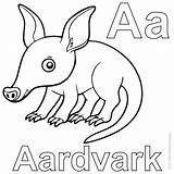Aardvark Sheets sketch template