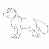 Collie Coloring sketch template