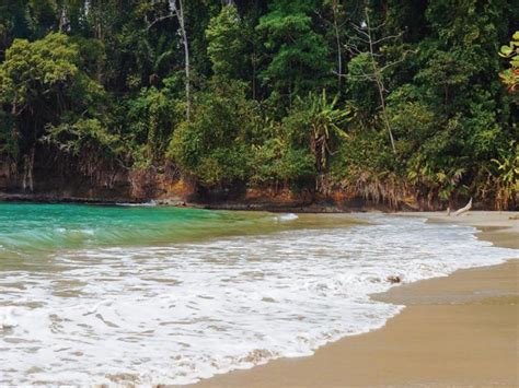 conservacion de espacios naturales en peninsula papagayo es reconocido por programa bandera azul