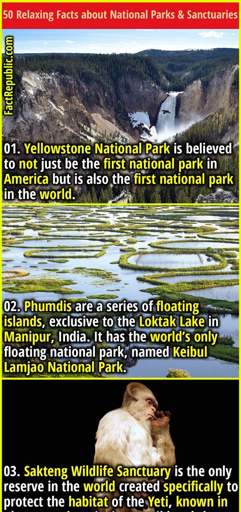 relaxing facts  national parks sanctuaries fact republic
