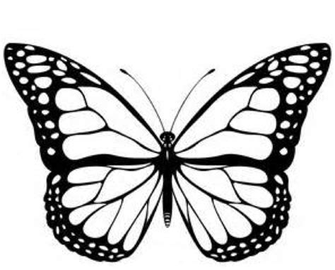monarch butterfly coloring page coloring book