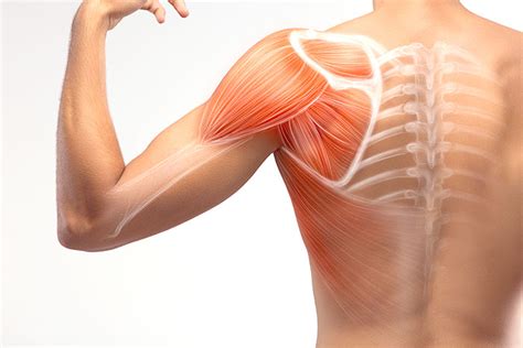 cheryls regenerative medicine treatment   shoulder  arm