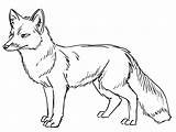 Fox Outline Drawing Line Clipart Kindergarten Drawings Worksheet Painting Animal Guide Clip Printable Animals Coloring Draw Outlines Pencil Foxes Easy sketch template
