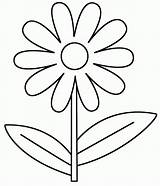 Coloring Daisy Pages Flower sketch template