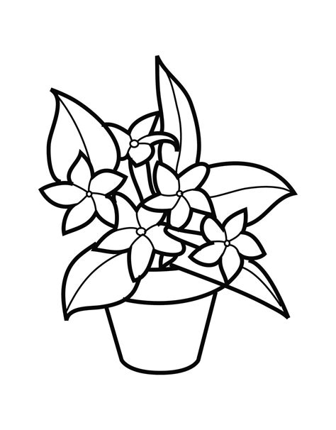 flower pot coloring pages printable