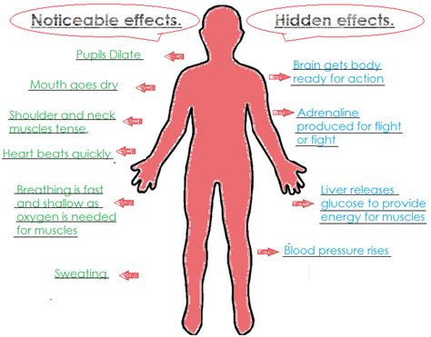 this is what stress is doing to your body right now