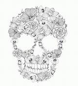 Coloring Pages Skull Adult Adults Skulls Popular Coloringhome sketch template